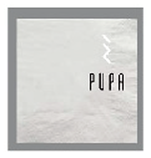 250 2-Ply WD Napkin