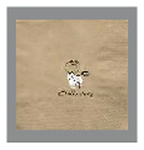 300 2-Ply Kraft Napkin